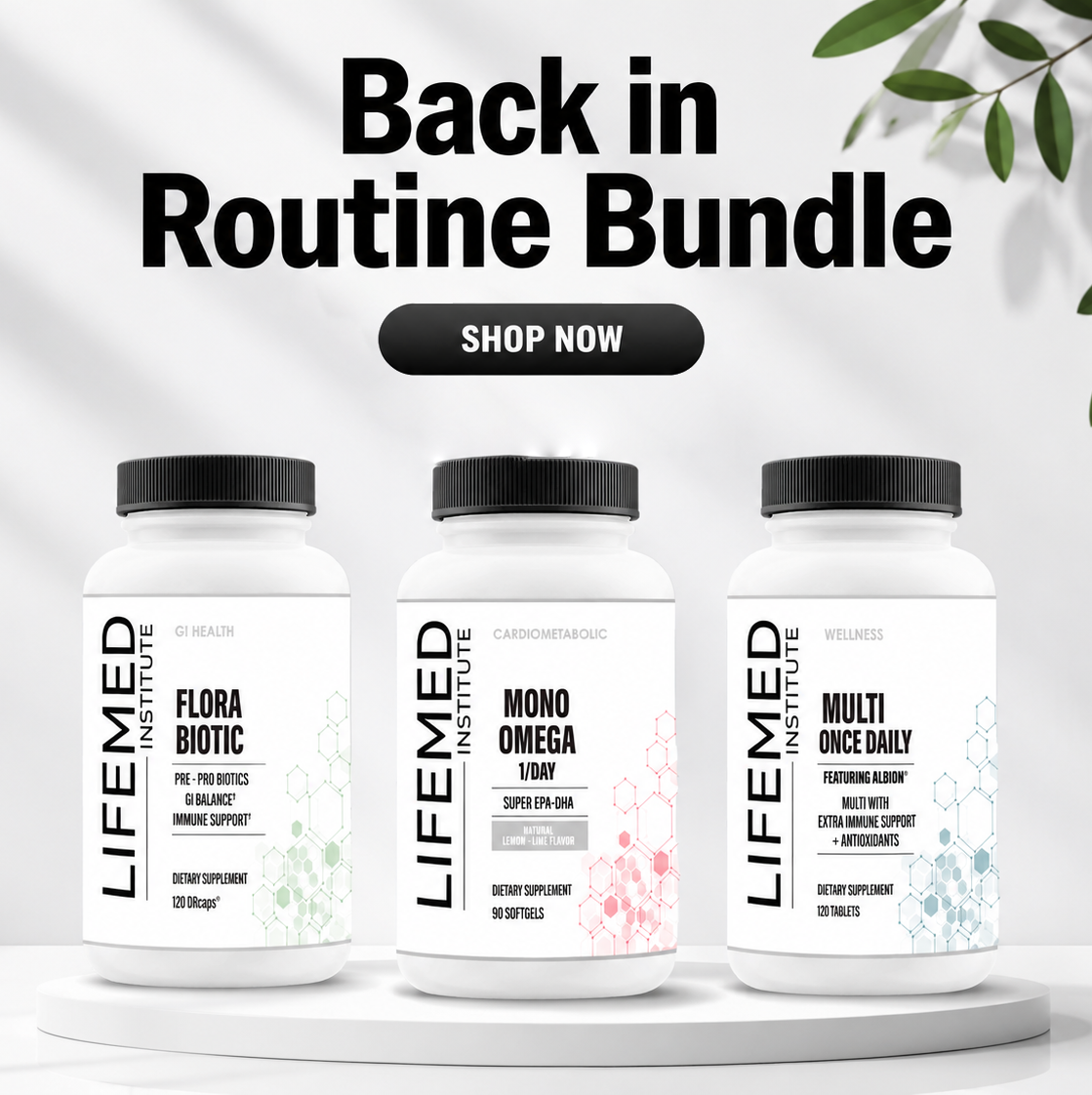 Back in Routine Bundle