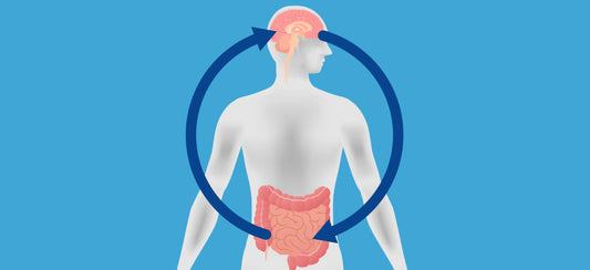 Guide about Gut/ Brain Axis – The Connection