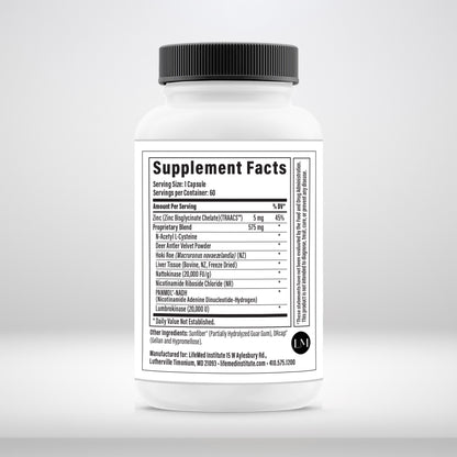 Cellular Support - LifeMed Institute