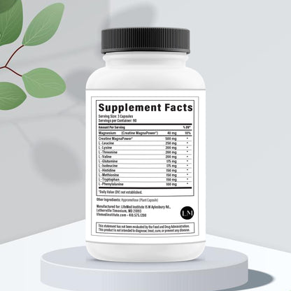 Performance Stack - LifeMed Institute